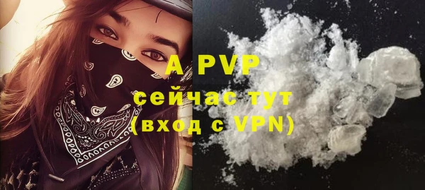 индика Абдулино