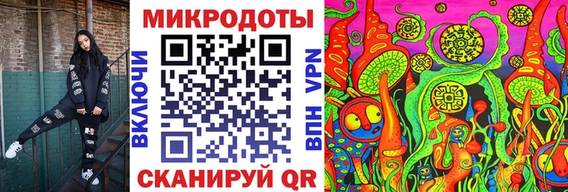 Псилоцибиновые грибы Psilocybe  Суздаль 