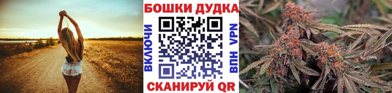 где купить наркоту  Суздаль  Шишки марихуана MAZAR 